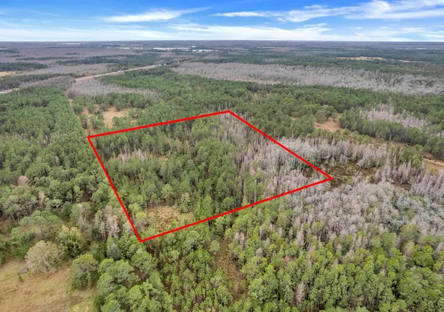 3rd image of 000 No Street, Polk City, FL 33868 | MLS# B26009086