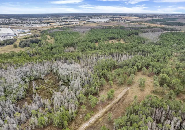 5th image of 000 No Street, Polk City, FL 33868 | MLS# B26009086