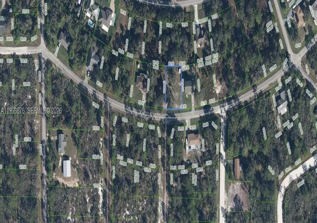 24th image of 343 Ellison Ave, Lake Placid, FL 33852 | MLS# A11993876