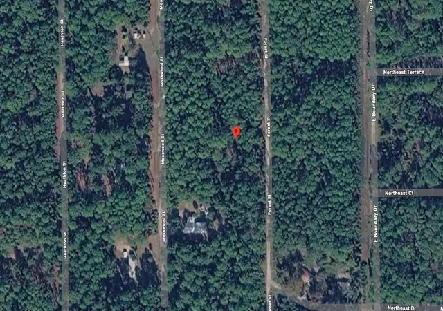 Homes for sale in Georgetown, FL | 143 Forest St, Georgetown, FL 32139 | MLS# B26013934