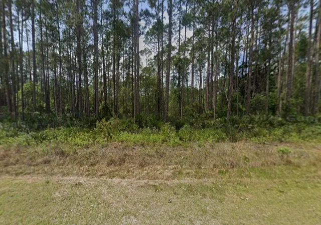 Homes for sale in Georgetown, FL | 141 E Boundary Dr, Georgetown, FL 32139 | MLS# B26013939