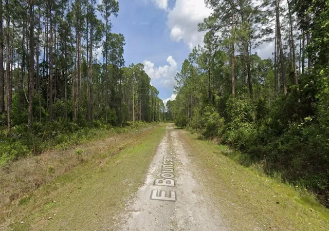 Homes for sale in Georgetown, FL | 141 E Boundary Dr, Georgetown, FL 32139 | MLS# B26013939