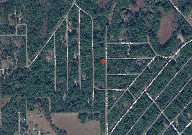 Homes for sale in Georgetown, FL | 141 E Boundary Dr, Georgetown, FL 32139 | MLS# B26013939