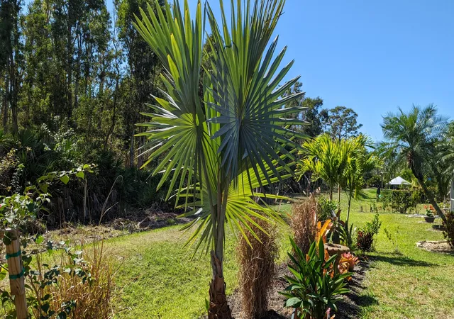 Homes for sale in Estero, FL | 23238 Marsh Landing Blvd, Estero, FL 33928 | MLS# B26014394
