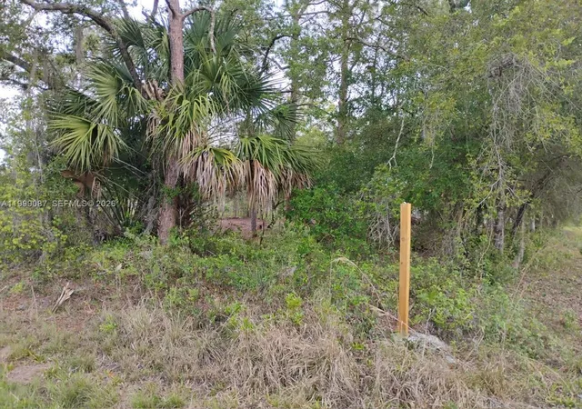 3rd image of 845 Appaloosa Ave, Clewiston, FL 33440 | MLS# A11999087