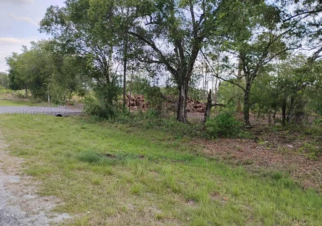 5th image of 845 Appaloosa Ave, Clewiston, FL 33440 | MLS# A11999087