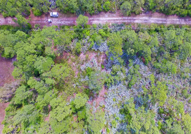 5th image of 00 Bald Cypress Trl, Fort Pierce, FL 34951 | MLS# B26014571