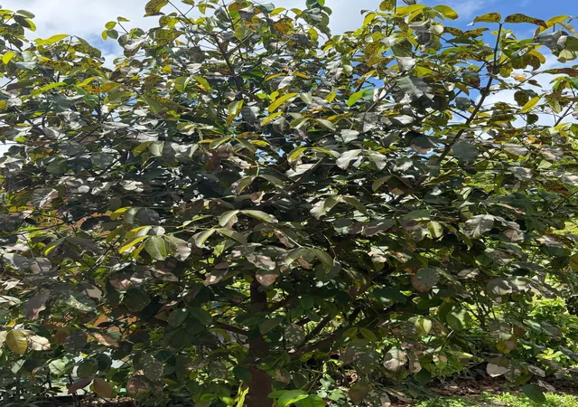 Homes for sale in North Miami Beach, FL | 1674 Ne 169Th St, North Miami Beach, FL 33162 | MLS# B26016093