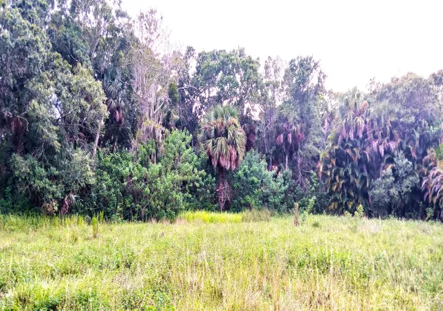 Photo 1 of Land for sale at 0000 S Us 1, Fort Pierce, FL 34982 | MLS# B26016433 | Listing updated on 2026-09-23