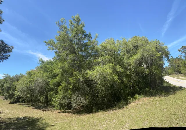Photo 3 of Land for sale at 3334 N Annapolis Ave, Hernando, FL 34442 | MLS# B26018910 | Listing updated on 2026-09-24