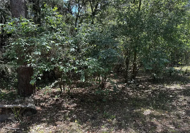 11th image of 7294 W Vineyard Dr, Homosassa, FL 34448 | MLS# A12009040