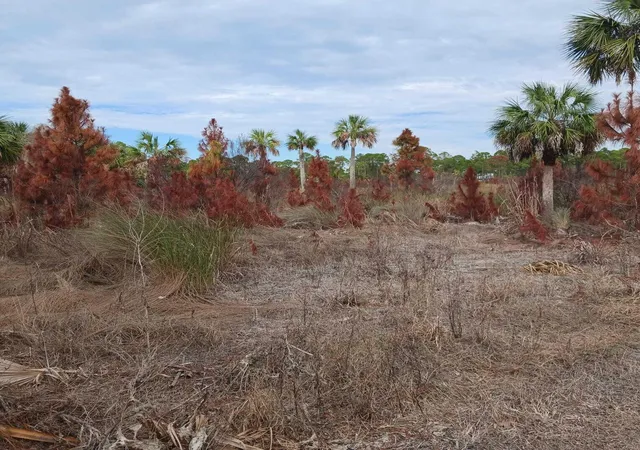 1st image of 0 Sw 153rd Ter, Cedar Key, FL 32625 | MLS# B26021797