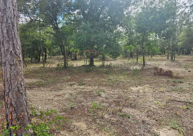 15th image of 820 & 830 S Jasmine St, Clewiston, FL 33440 | MLS# A12007186