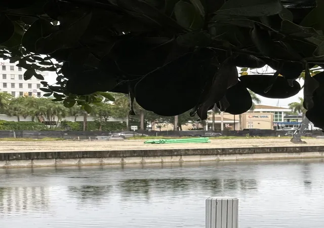5th image of 1106 NE 18th Avenue, Fort Lauderdale, FL 33304 | MLS# B26024244