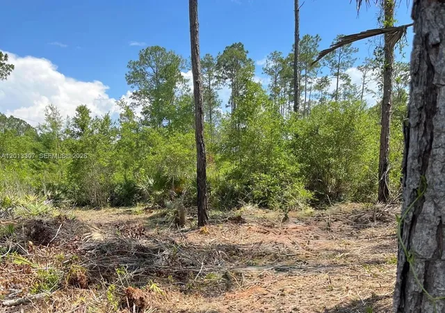 Homes for sale in Georgetown, FL | 117 Lodge Pole Cir, Georgetown, FL 32139 | MLS# A12013307
