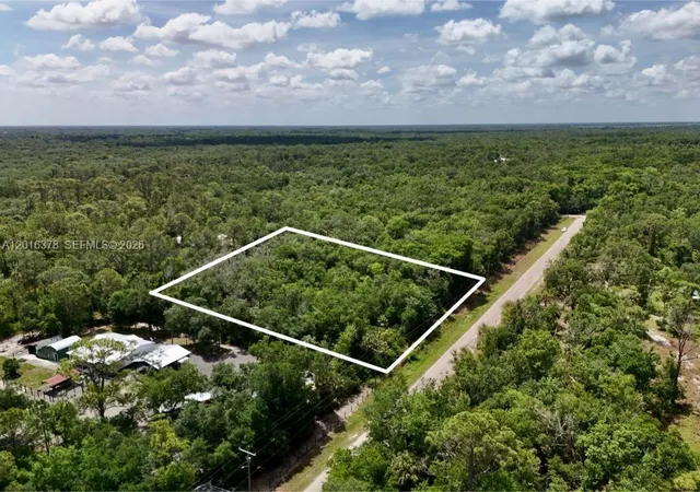 2nd image of 0 Sw Gator Trl, Arcadia, FL 34266 | MLS# A12016378