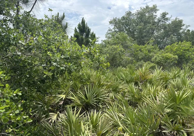 Photo 2 of Land for sale at 0 Turnpike Feeder Rd, Fort Pierce, FL 34945 | MLS# B26027391 | Listing updated on 2026-09-23