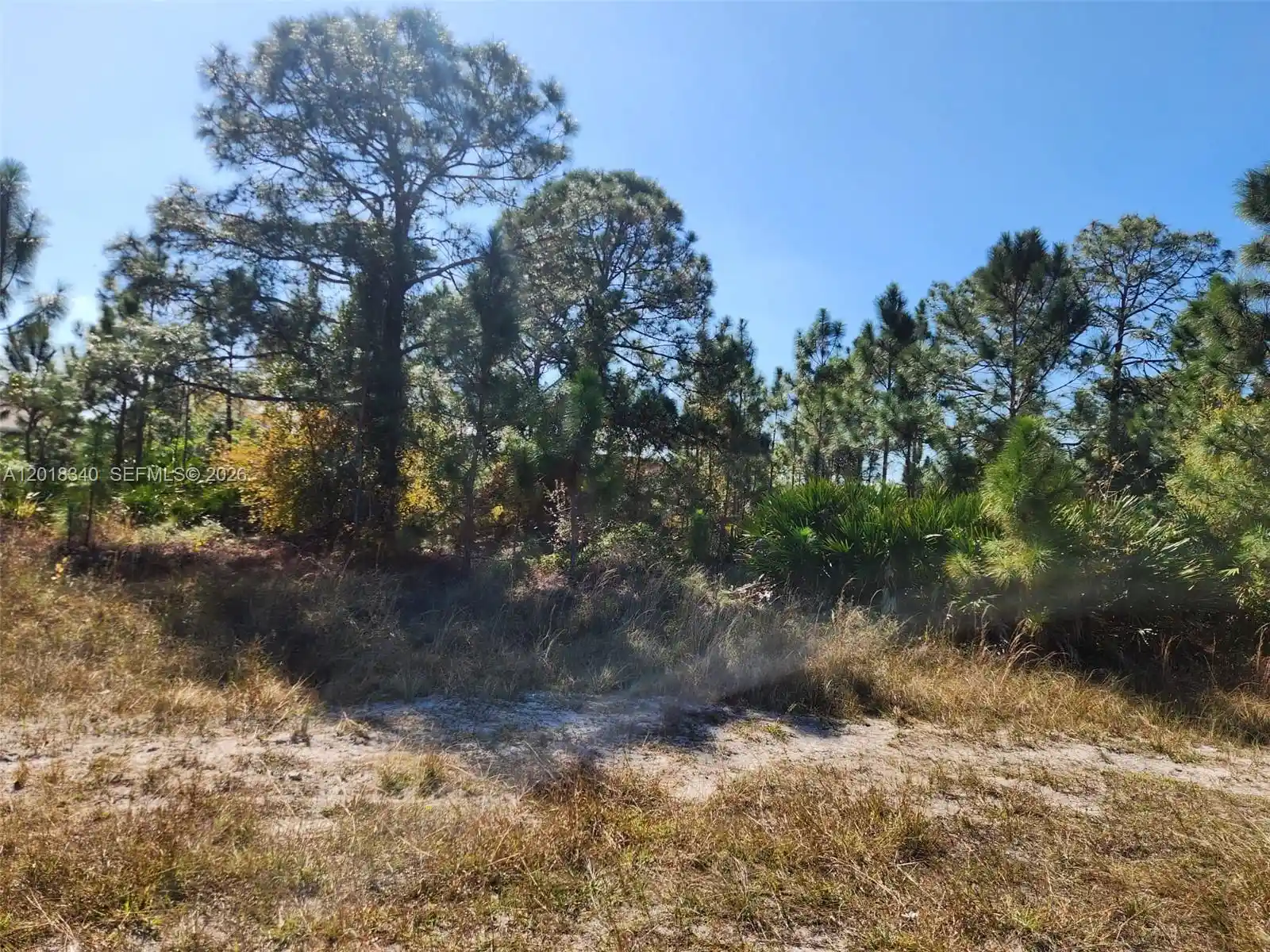 Photo 1 of Land for sale at 706 Johns Ave, Lehigh Acres, FL 33972 | MLS# A12018340 | Listing updated on 2026-05-23