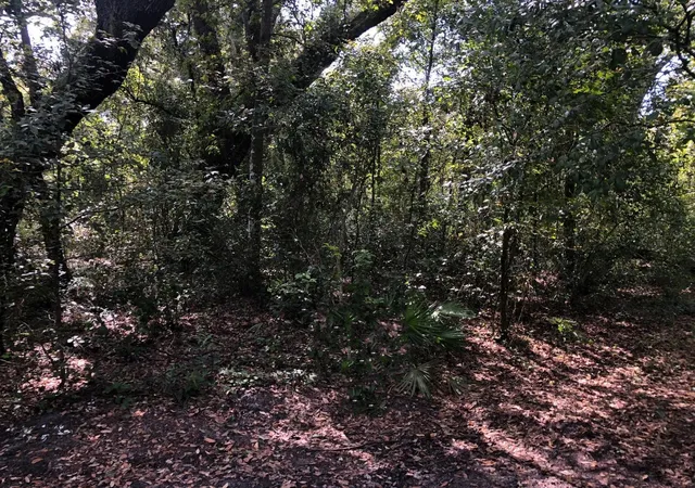 Land for sale at 0 Co Rd 54, Kathleen, FL 33849 | MLS# B26028009