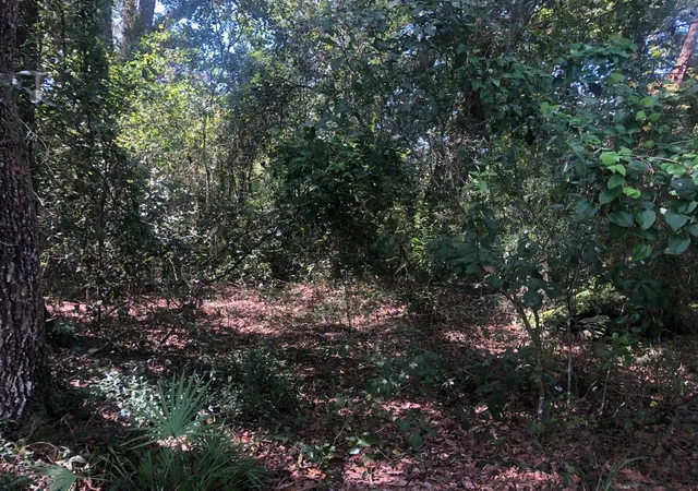 Photo 3 of Land for sale at 0 Co Rd 54, Kathleen, FL 33849 | MLS# B26028009 | Listing updated on 2026-09-23