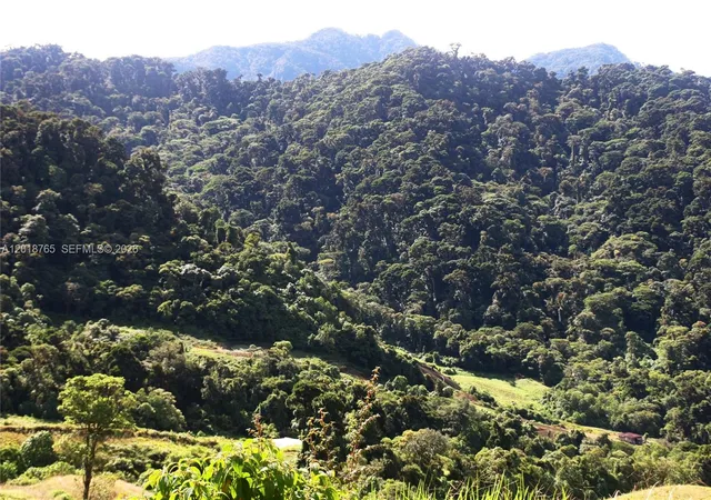 1st image of Cerro Punta, Panama, Rep Of Panama, Avon Park, FL 33825 | MLS# A12018765