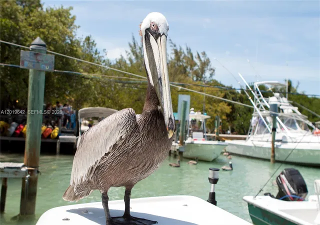 61st image of 8 Ocean View Blvd, Key Largo, FL 33037 | MLS# A12019642