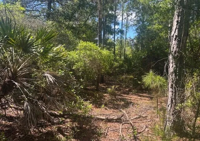 Photo 1 of Land for sale at 0 Golden Shrs Blvd, Mims, FL 32754 | MLS# B26029955 | Listing updated on 2026-09-23