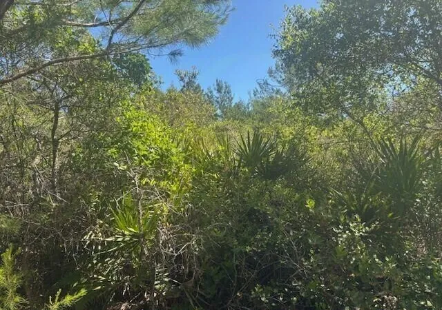 Photo 3 of Land for sale at 0 Golden Shrs Blvd, Mims, FL 32754 | MLS# B26029955 | Listing updated on 2026-09-23