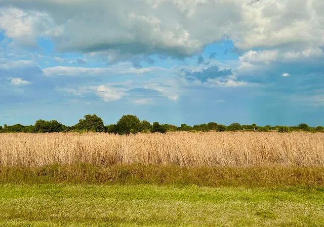 4th image of 6635 Se 26Th Trl, Okeechobee, FL 34974 | MLS# B26030089