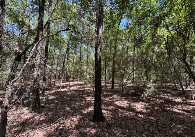 Homes for sale in Bonifay, FL | 0 Little John Ln, Bonifay, FL 32425 | MLS# B26032626