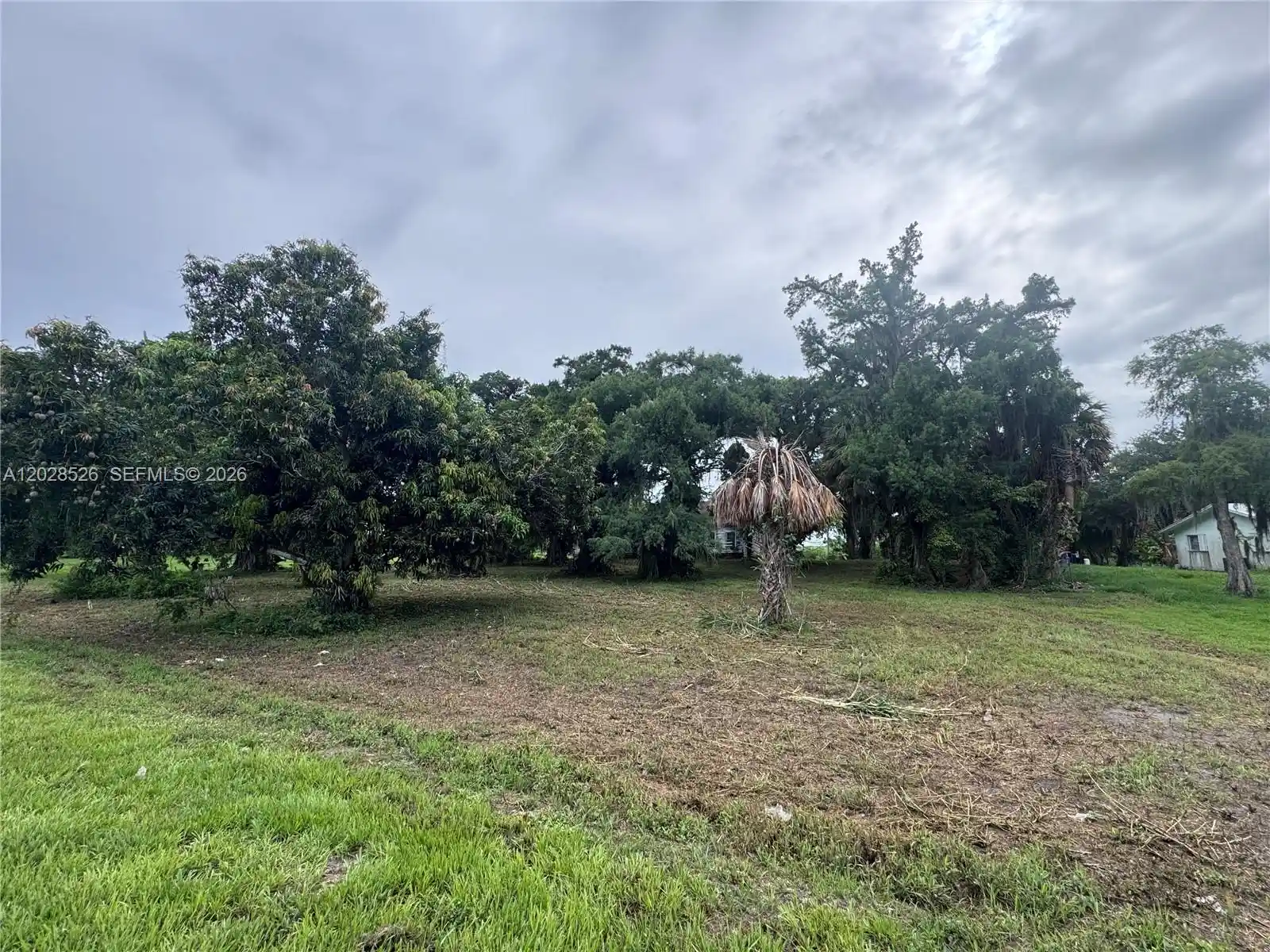 Photo 1 of Land for sale at 19121 Sw Conners Hwy, Canal Point, FL 33438 | MLS# A12028526 | Listing updated on 2026-06-02