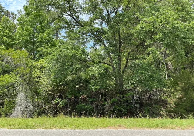 Homes for sale in Hastings, FL | 5020 Stephen St, Hastings, FL 32145 | MLS# B26035761