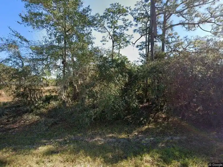 Photo 1 of Land for sale at 1334 St Augustine Ct, Kissimmee, FL 34759 | MLS# A12030436 | Listing updated on 2026-09-30
