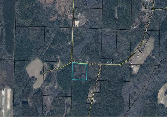 Homes for sale in Graceville, FL | 0 Bill Dixon Rd, Graceville, FL 32440 | MLS# B26037469