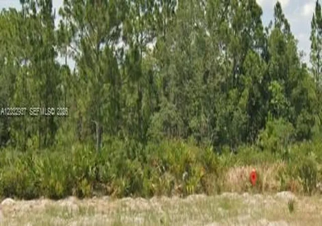 2nd image of 3011 W Dixon Rd, Avon Park, FL 33825 | MLS# A12032937