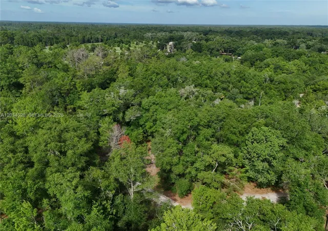 16th image of 141 Strawberry St, Pomona Park, FL 32181 | MLS# A12034520