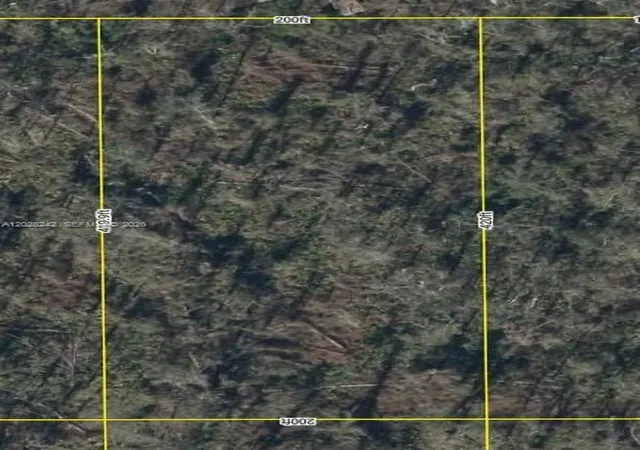 Homes for sale in Mayo, FL | 00 Nw Possum Path, Mayo, FL 32066 | MLS# A12028242