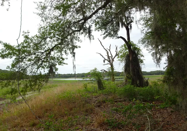 Photo 1 of Land for sale at 2208 Sw Shorewood Dr, Dunnellon, FL 34431 | MLS# B26042239 | Listing updated on 2026-10-06