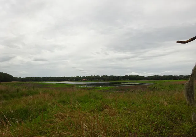 Photo 3 of Land for sale at 2208 Sw Shorewood Dr, Dunnellon, FL 34431 | MLS# B26042239 | Listing updated on 2026-10-06