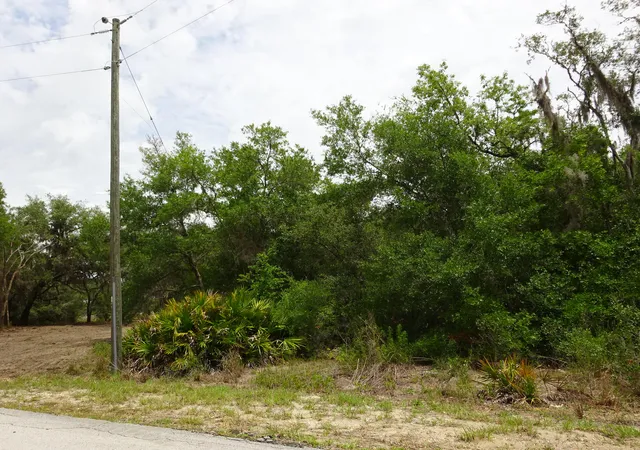 Photo 4 of Land for sale at 2208 SW Shorewood Dr, Dunnellon, FL 34431 | MLS# B26042239 | Listing updated on 2026-10-06