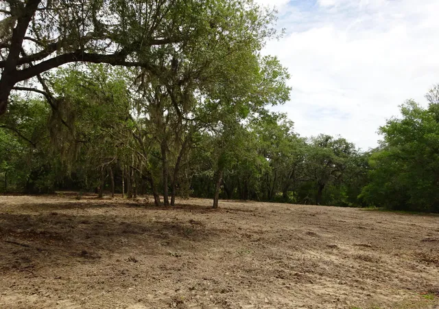 3rd image of Lots 449,450,451,452,453 Sw Shorewood Dr Sw, Dunnellon, FL 34431 | MLS# B26042445