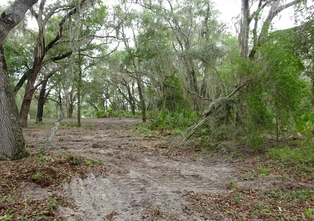 4th image of Lots 449,450,451,452,453 Sw Shorewood Dr Sw, Dunnellon, FL 34431 | MLS# B26042445
