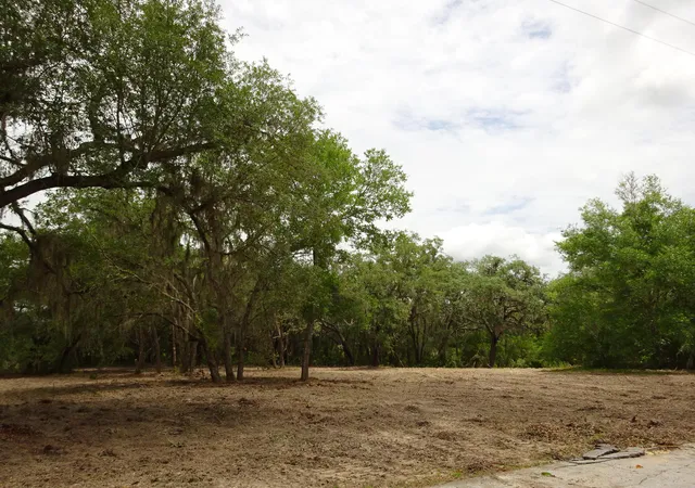5th image of Lots 449,450,451,452,453 Sw Shorewood Dr Sw, Dunnellon, FL 34431 | MLS# B26042445