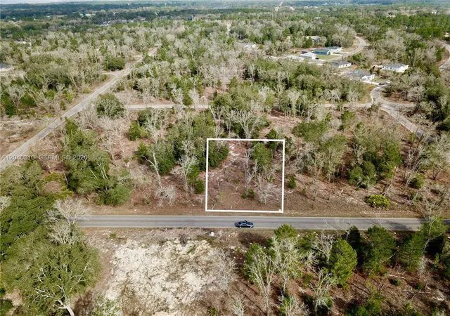 4th image of 19 Bay Track Ct, Ocklawaha, FL 32179 | MLS# A12040310
