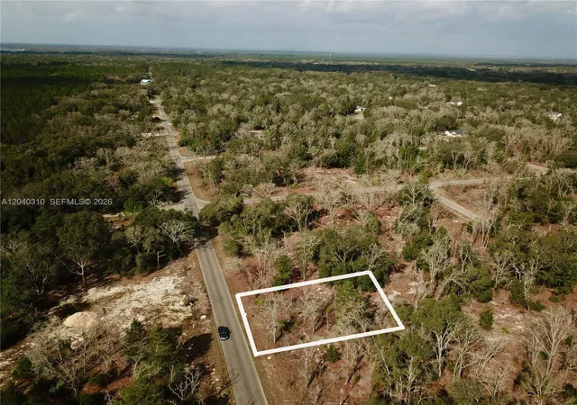 5th image of 19 Bay Track Ct, Ocklawaha, FL 32179 | MLS# A12040310