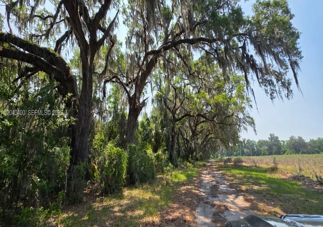 12th image of Xx Se Xx 225th Dr, Hawthorne, FL 32640 | MLS# A12040400