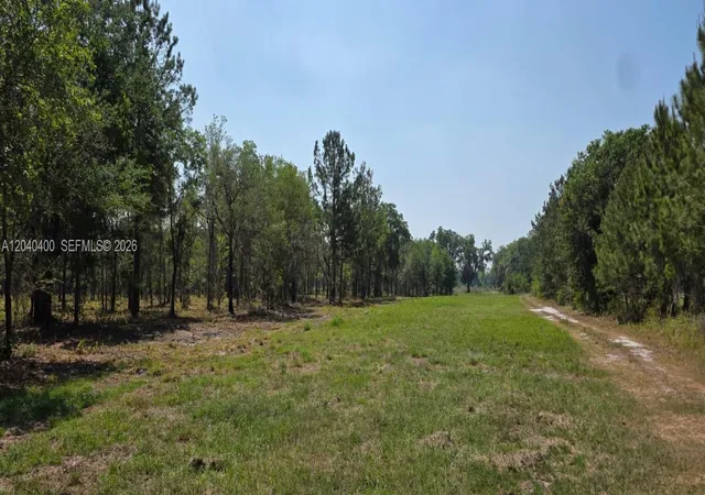 2nd image of Xx Se Xx 225th Dr, Hawthorne, FL 32640 | MLS# A12040400