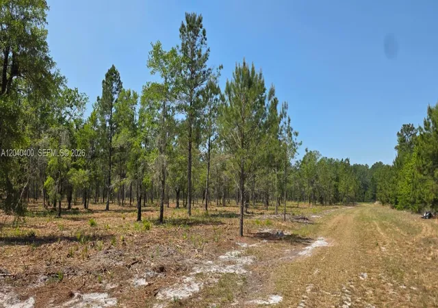 3rd image of Xx Se Xx 225Th Dr, Hawthorne, FL 32640 | MLS# A12040400