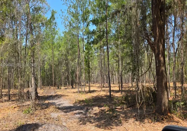 4th image of Xx Se Xx 225Th Dr, Hawthorne, FL 32640 | MLS# A12040400