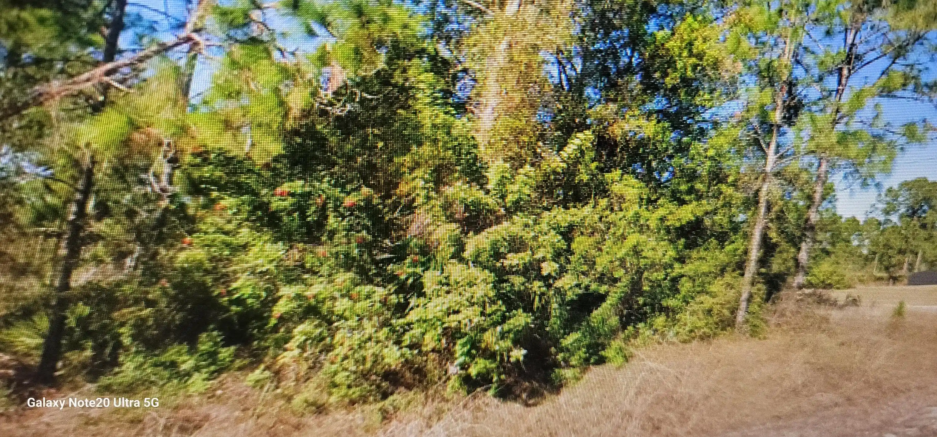 Photo 1 of Land for sale at 1023 Acacia Ave, Lehigh Acres, FL 33972 | MLS# B26043793 | Listing updated on 2026-10-08